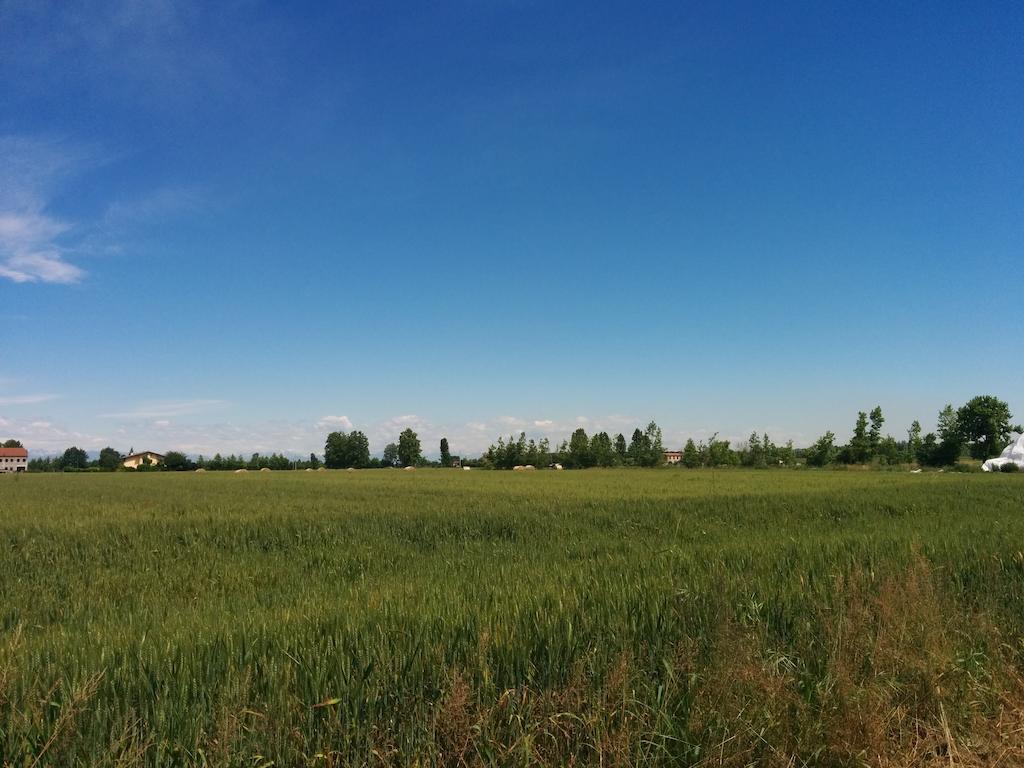 Agriturismo La Chioccia Campagna Lupia Eksteriør bilde